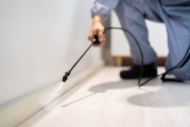 Licensed Termite Control service in Riverdale, IL - Nex Pest Control