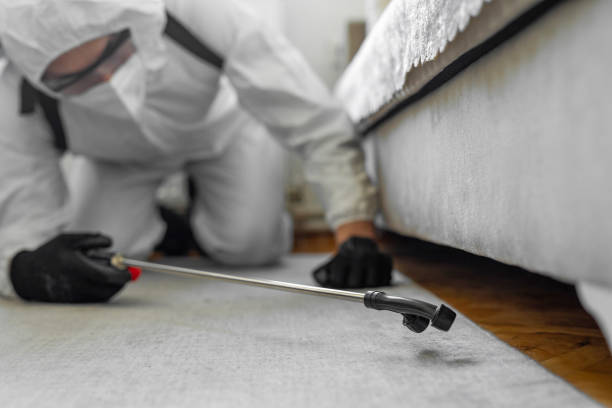 Professional Termite Control technician working in Riverdale, IL