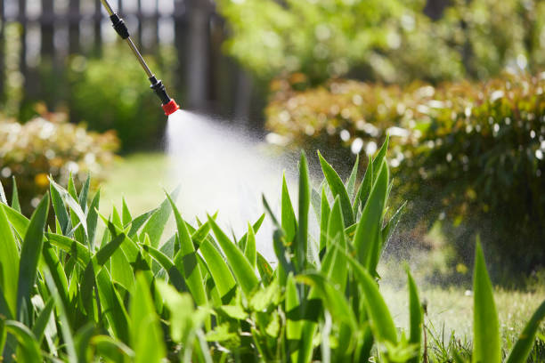 24/7 Emergency Termite Control experts in Riverdale, IL