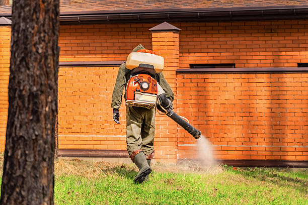 Top rated local Termite Control specialists in Riverdale, IL